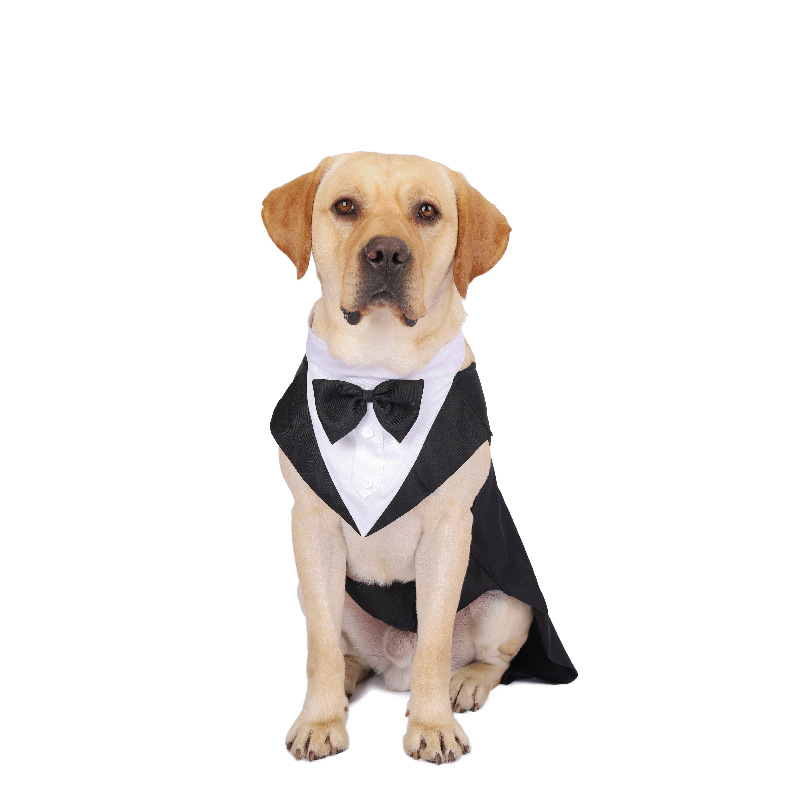 Roupas para cães de estimação, - Suitsupply Wedding Tuxedo avaliação e preço