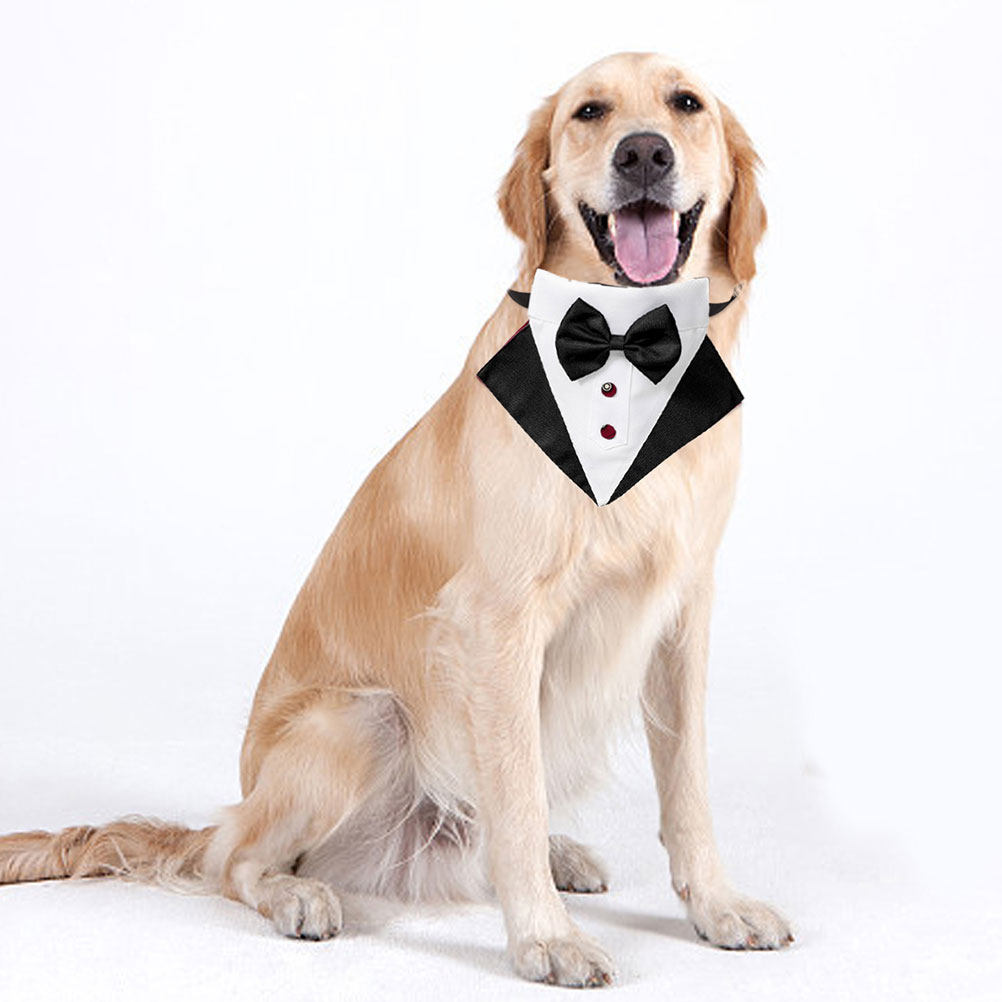 Conjunto de Terno e Bandana pa - Suitsupply Wedding Tuxedo avaliação e preço