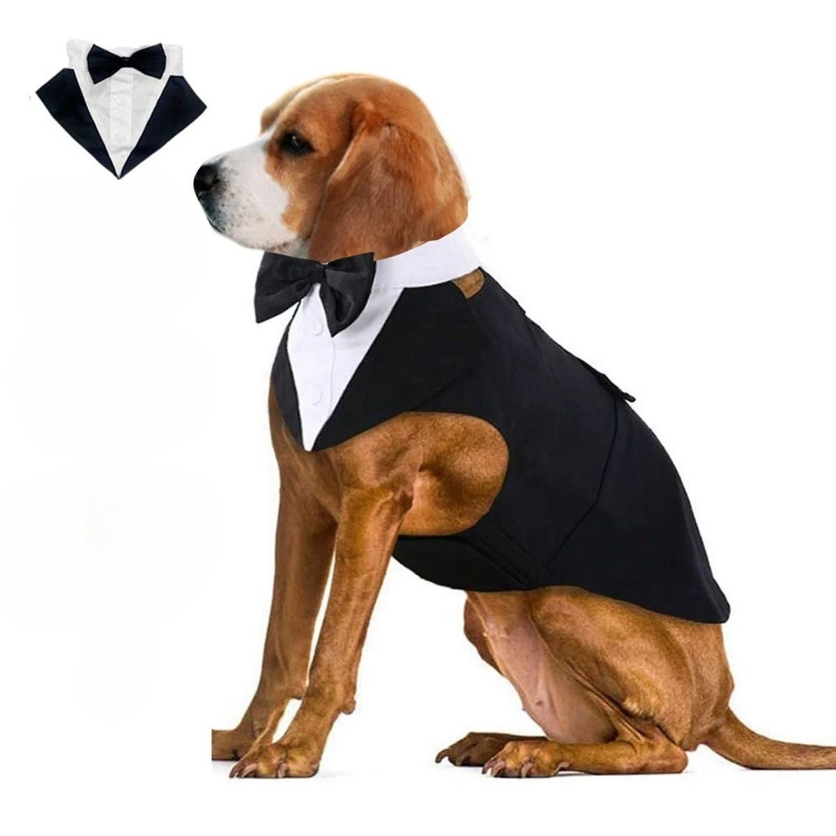 Roupas para Cães de Estimação: - Suitsupply Wedding Tuxedo avaliação e preço